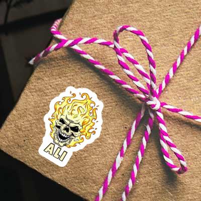 Autocollant Ali Tête de mort Notebook Autocollant Ali Tête de mort Gift package Image
