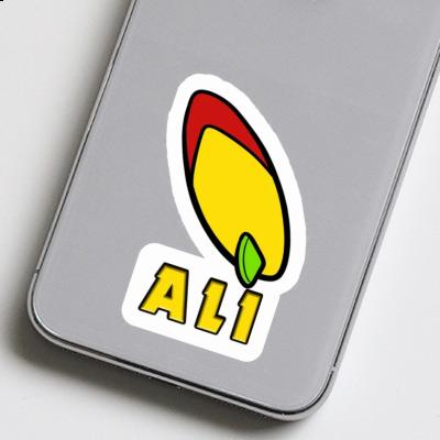 Sticker Ali Surfbrett Notebook Sticker Ali Surfbrett Gift package Image