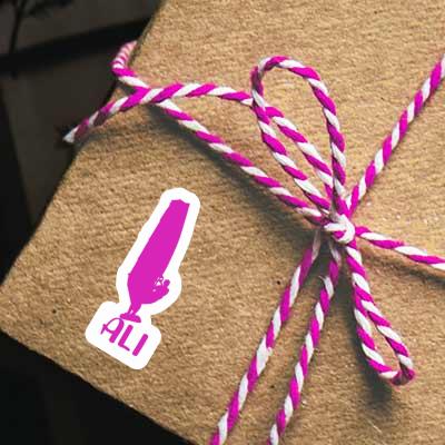 Ali Sticker Windsurfer Notebook Ali Sticker Windsurfer Gift package Image