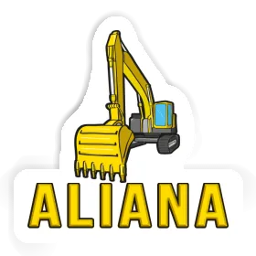 Aliana Sticker Bagger Image