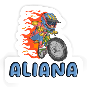 Aufkleber Biker Aliana Image