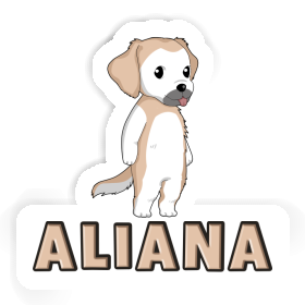 Sticker Aliana Golden Retriever Image
