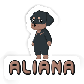 Sticker Rottweiler Aliana Image