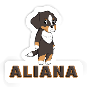 Sticker Bernese Mountain Dog Aliana Image