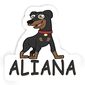 Aliana Sticker Pinscher Image