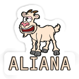 Sticker Aliana Goat Image