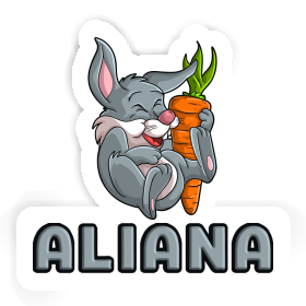 Aliana Sticker Rabbits Image