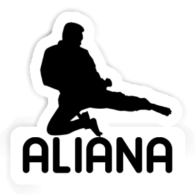 Aliana Sticker Karateka Image