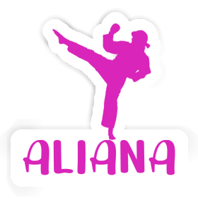 Karateka Sticker Aliana Image