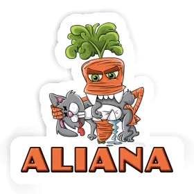 Aliana Sticker Monster Carrot Image