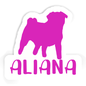 Aufkleber Aliana Mops Image