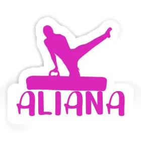 Aufkleber Turner Aliana Image