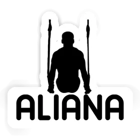 Aliana Sticker Ringturner Image