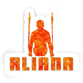 Aliana Aufkleber Ringturner Image