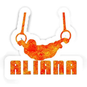 Ringturner Aufkleber Aliana Image