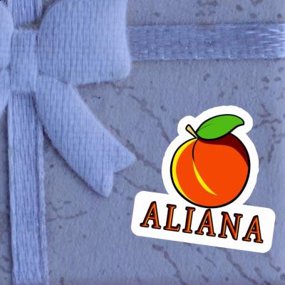 Aprikose Sticker Aliana Notebook Image