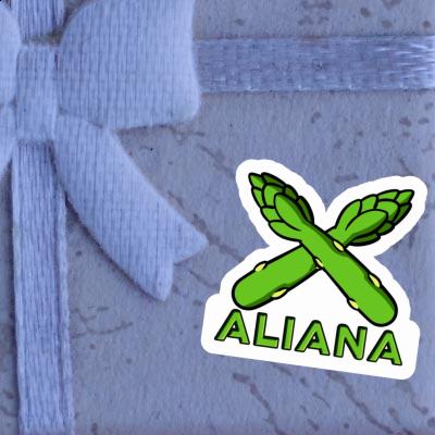 Aliana Sticker Asparagus Notebook Aliana Sticker Asparagus Notebook Image