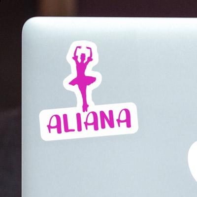 Aliana Sticker Ballerina Notebook Aliana Sticker Ballerina Notebook Image