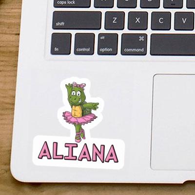 Ballerine Autocollant Aliana Notebook Ballerine Autocollant Aliana Gift package Image