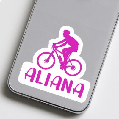 Autocollant Aliana Vététiste Gift package Image