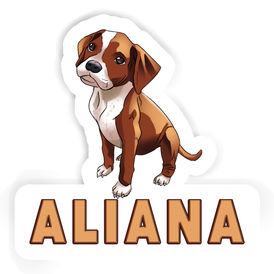 Aliana Aufkleber Boxer Gift package Image