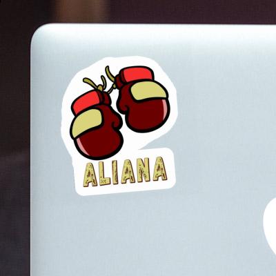 Sticker Boxing Glove Aliana Notebook Sticker Boxing Glove Aliana Gift package Image