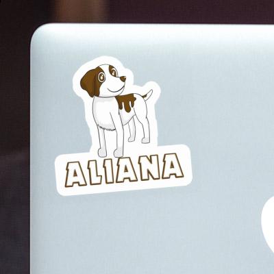 Sticker Brittany Dog Aliana Notebook Sticker Brittany Dog Aliana Gift package Image