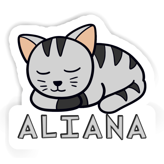 Sticker Cat Aliana Notebook Sticker Cat Aliana Gift package Image
