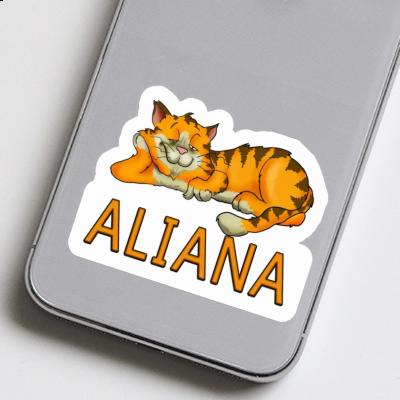 Aufkleber Aliana Katze Notebook Aufkleber Aliana Katze Gift package Image