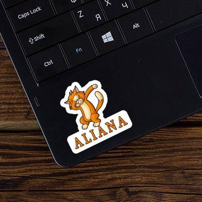 Aliana Sticker Katze Notebook Aliana Sticker Katze Gift package Image