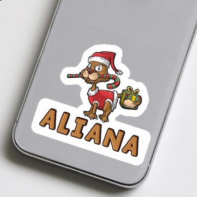 Chat de Noël Autocollant Aliana Notebook Chat de Noël Autocollant Aliana Gift package Image