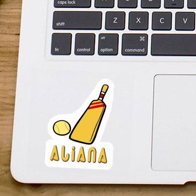 Autocollant Aliana Maillet de cricket Notebook Autocollant Aliana Maillet de cricket Gift package Image