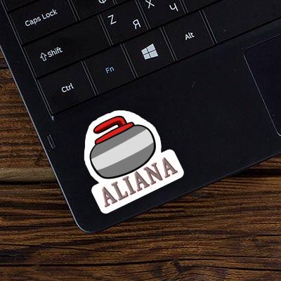 Aliana Sticker Curling Stone Notebook Aliana Sticker Curling Stone Notebook Image