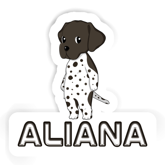 Deutsch Kurzhaar Aufkleber Aliana Notebook Deutsch Kurzhaar Aufkleber Aliana Gift package Image