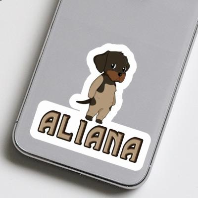 Deutsch Drahthaar Aufkleber Aliana Deutsch Drahthaar Aufkleber Aliana Image