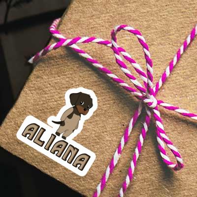 Aliana Autocollant Chien d'arrêt allemand à poil du Aliana Autocollant Chien d'arrêt allemand à poil du Image