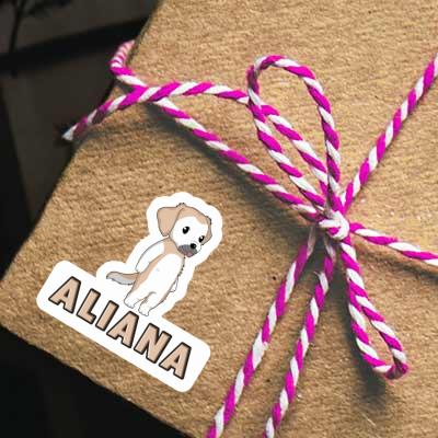 Sticker Golden Retriever Aliana Image