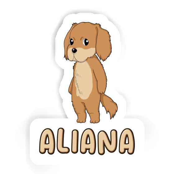 Hovawart Aufkleber Aliana Gift package Image
