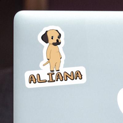 Sticker Rhodesian Ridgeback Aliana Laptop Sticker Rhodesian Ridgeback Aliana Laptop Image
