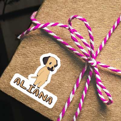 Sticker Rhodesian Ridgeback Aliana Notebook Sticker Rhodesian Ridgeback Aliana Gift package Image