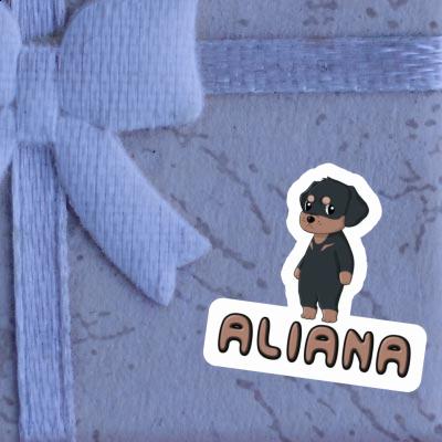 Sticker Aliana Rottweiler Laptop Sticker Aliana Rottweiler Laptop Image