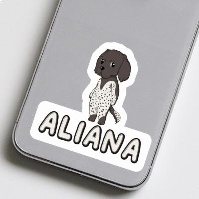 Autocollant Petit Münsterländer Aliana Laptop Image