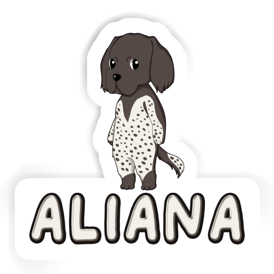 Sticker Munsterlander Aliana Image
