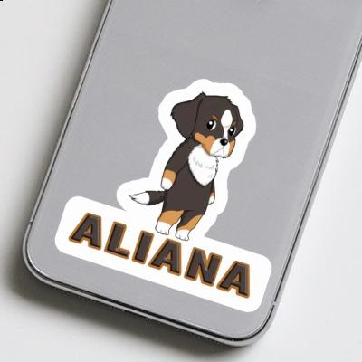 Sticker Bernese Mountain Dog Aliana Notebook Sticker Bernese Mountain Dog Aliana Gift package Image