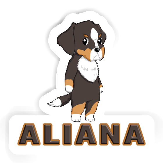 Sticker Bernese Mountain Dog Aliana Notebook Sticker Bernese Mountain Dog Aliana Gift package Image