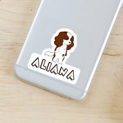 Sticker Cavalier King Charles Spaniel Aliana Sticker Cavalier King Charles Spaniel Aliana Image