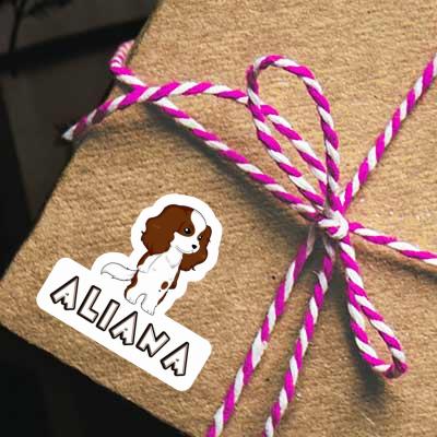 Aliana Sticker Cavalier King Charles Spaniel Notebook Aliana Sticker Cavalier King Charles Spaniel Gift package Image