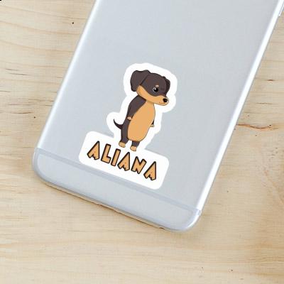 Aufkleber Dackel Aliana Notebook Aufkleber Dackel Aliana Gift package Image