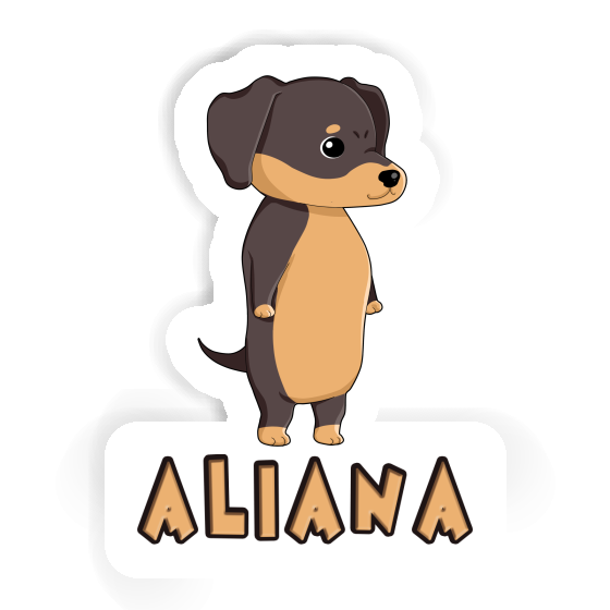 Aufkleber Dackel Aliana Laptop Aufkleber Dackel Aliana Laptop Image