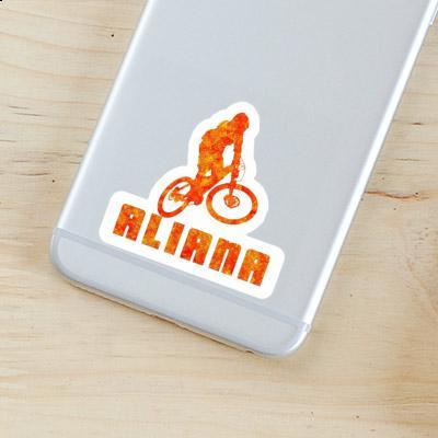 Downhiller Sticker Aliana Notebook Downhiller Sticker Aliana Gift package Image